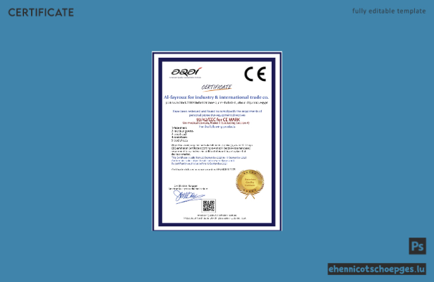 Vorschau eines CE-Zertifikatsbeispiels des USA Quality Institute